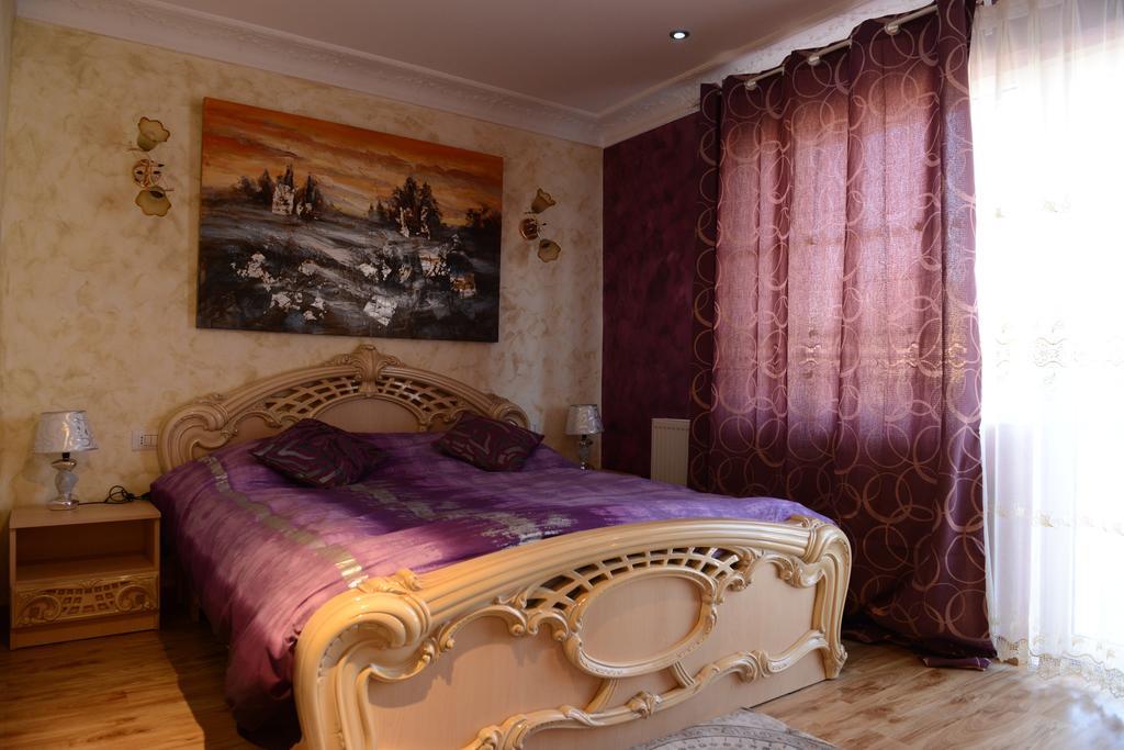 Vila Perla Sapanteana Săpînţa الغرفة الصورة